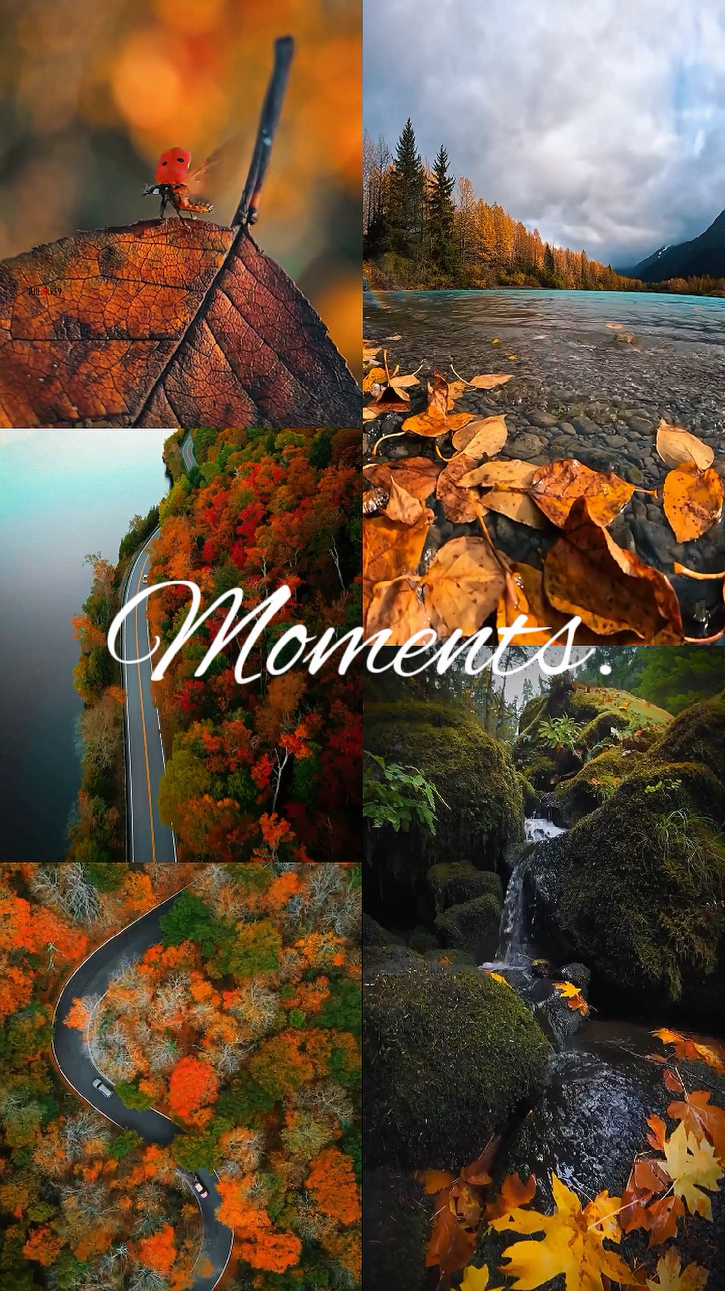Moments