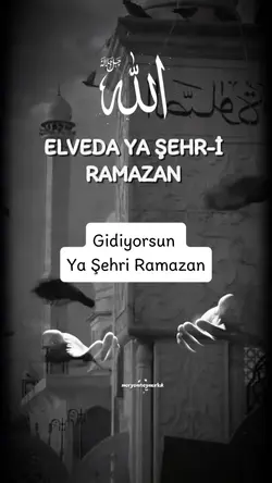 meryemteymurluk 