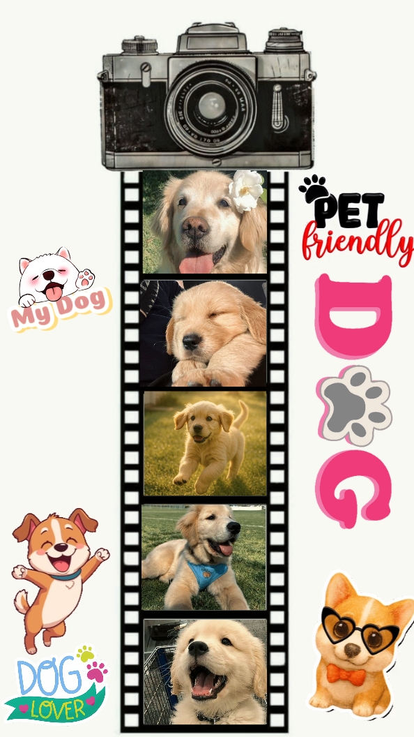 Mon chien