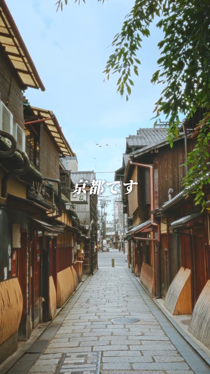 교토 브이로그 ⛩