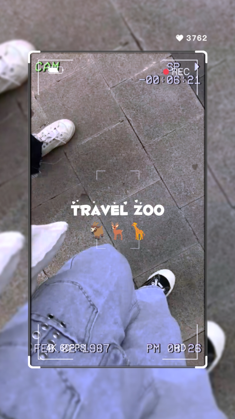 travel zoo