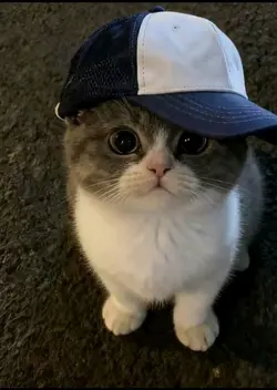 kata kata
