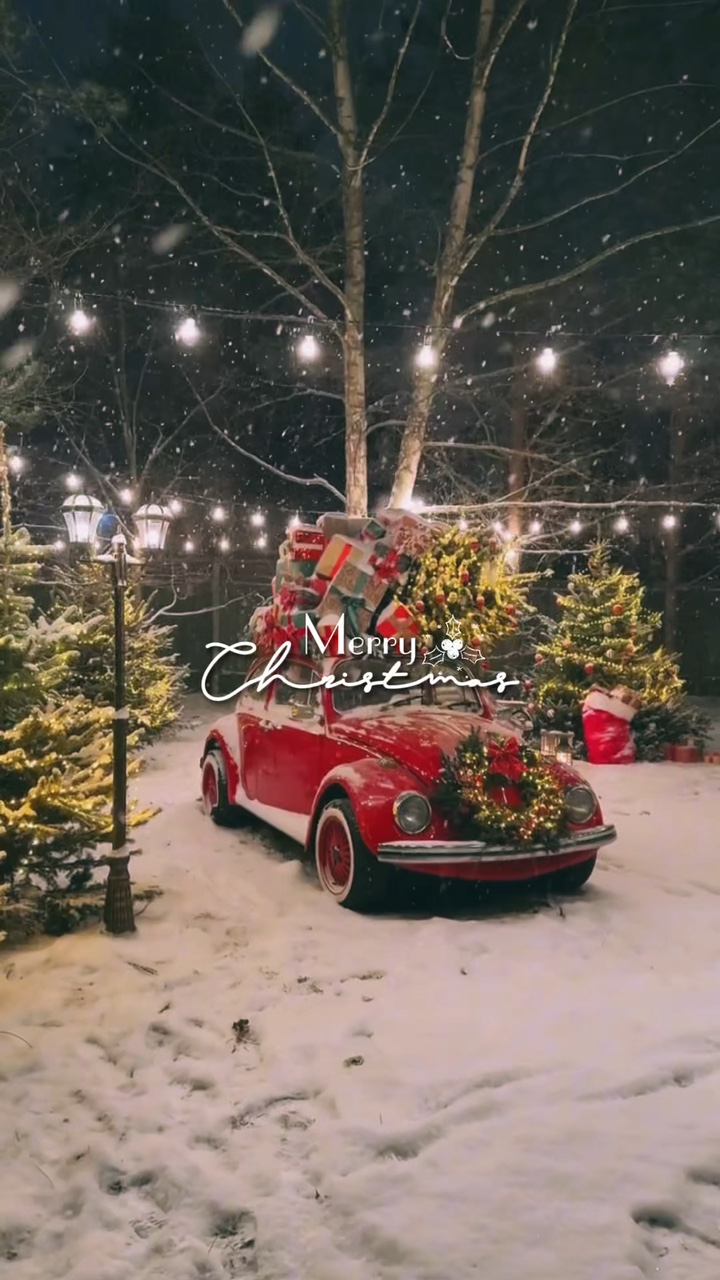 Giáng Sinh 4 videosu 🎄