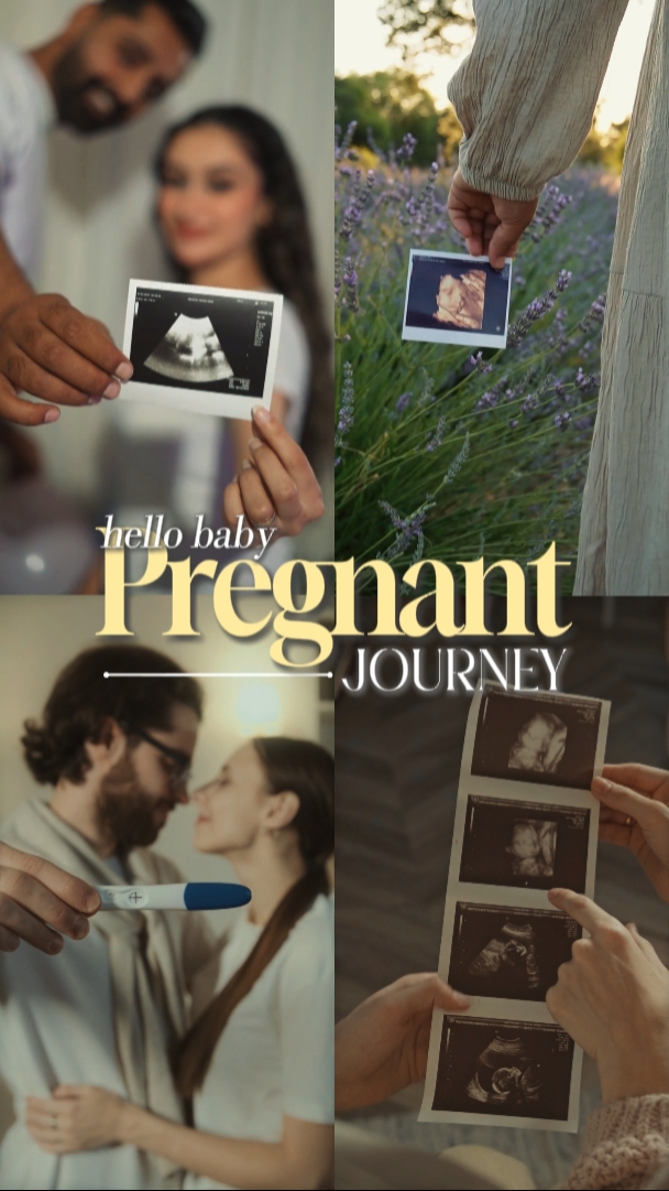 Pregnant Journey 