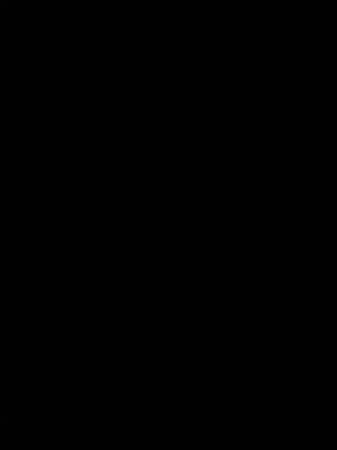 Nueva edición de tendencias