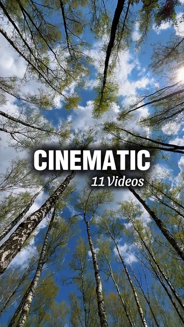 Cinematic 11 Videos