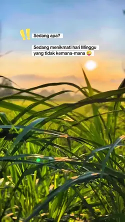 Menikmati Minggu