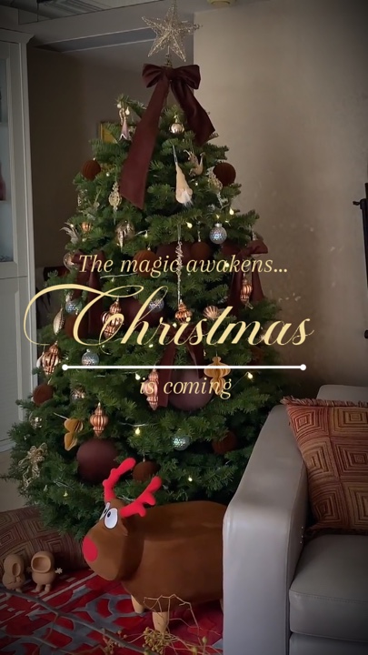 Christmas home