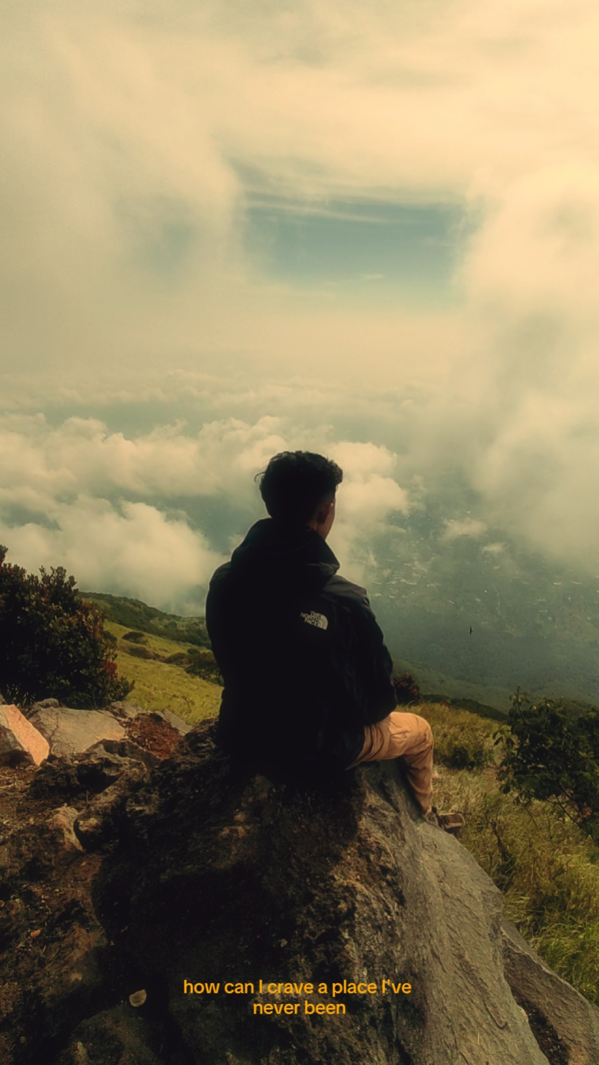 vlog nature