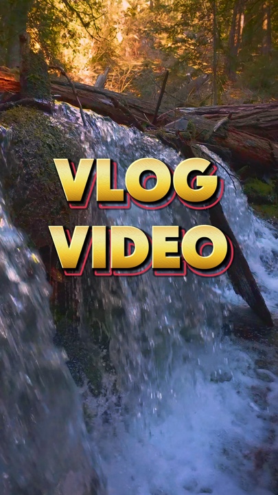 ReelsVibe