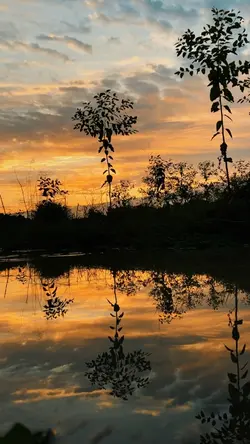 Mẫu slow chill