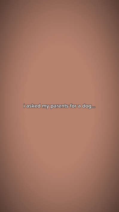 Nom du chien