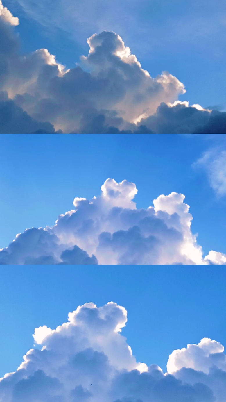 Frame Aesthetic 