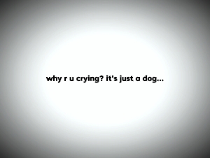 KÖPEK???