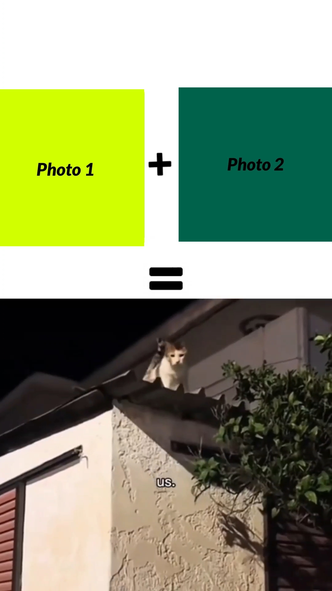 New template