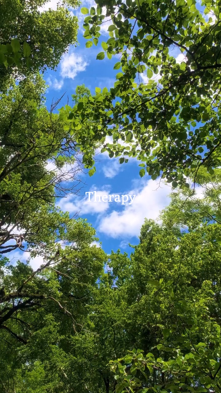 Vlog nature