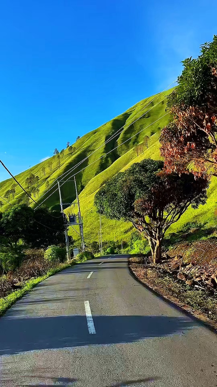 5 video road trip