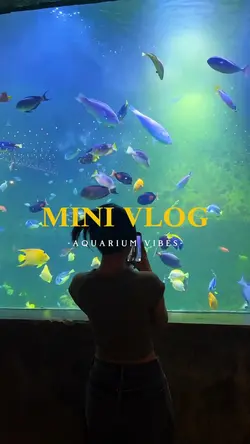 aquarium vibes