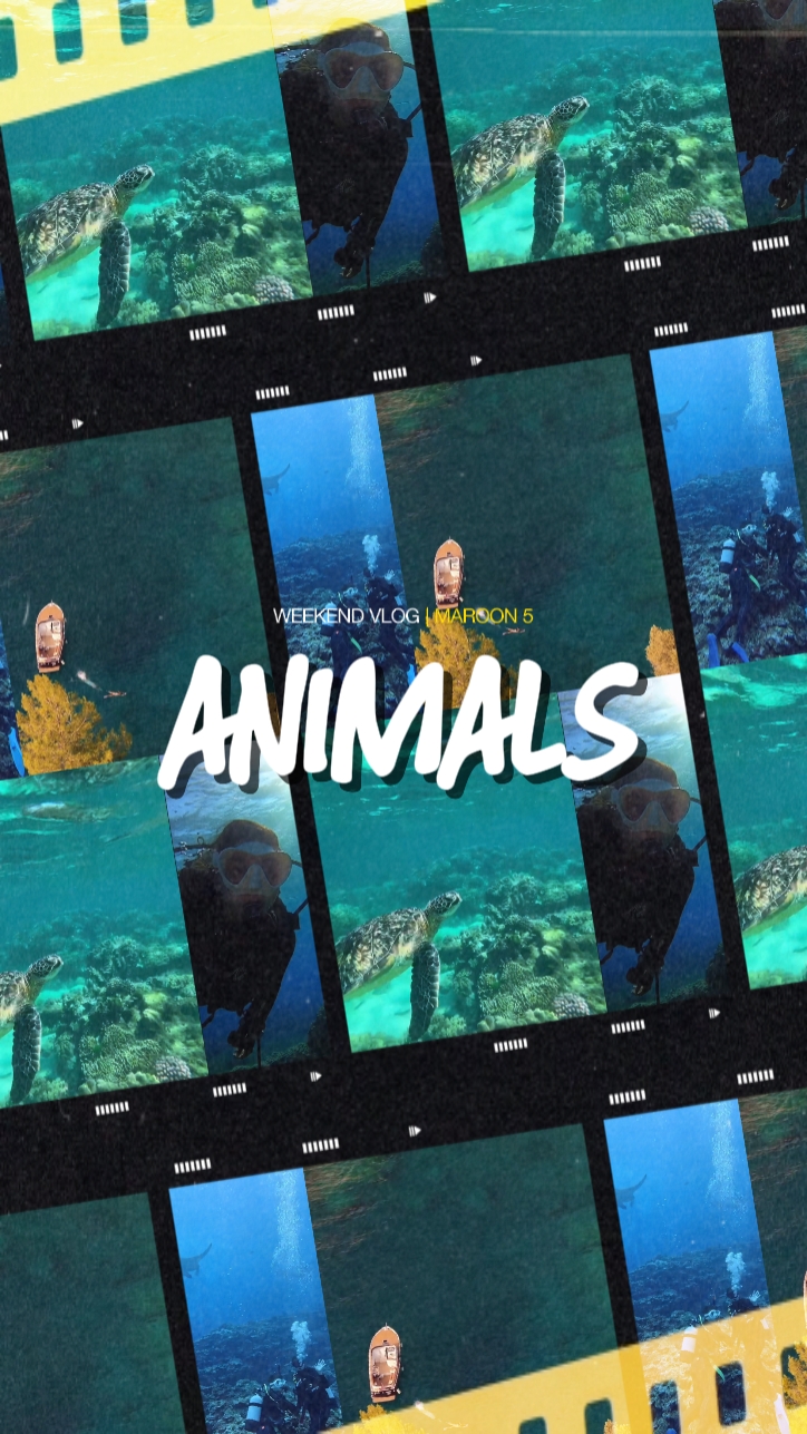 ANIMALES