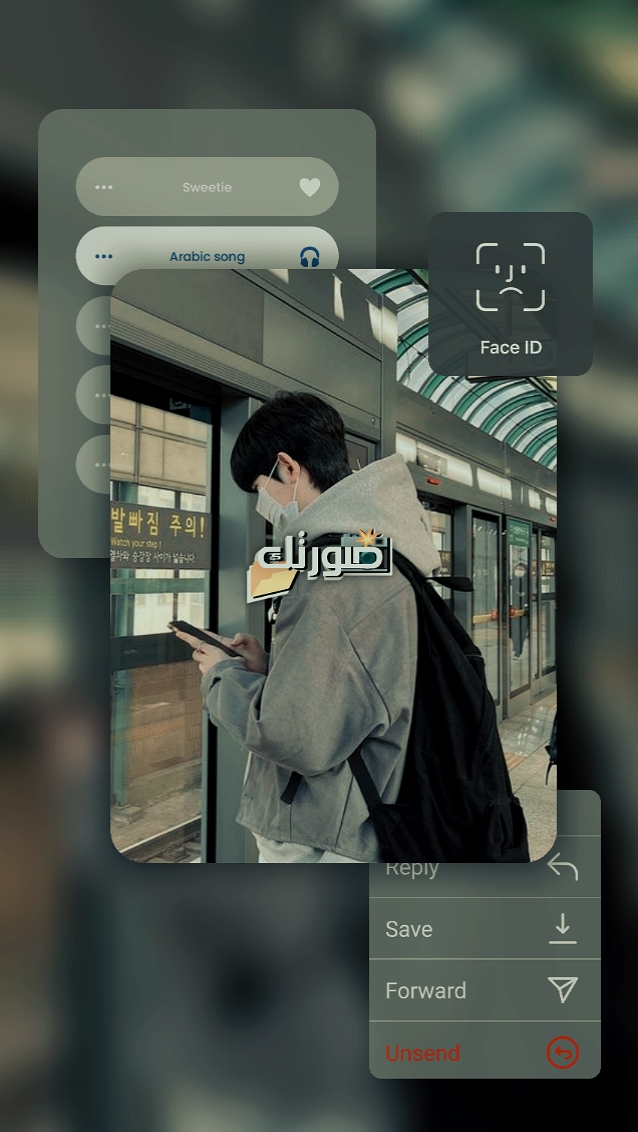 Cover Picture