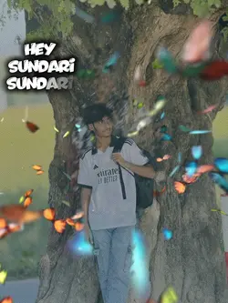 Sundari Sundari 