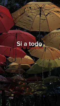Si a todo 😌