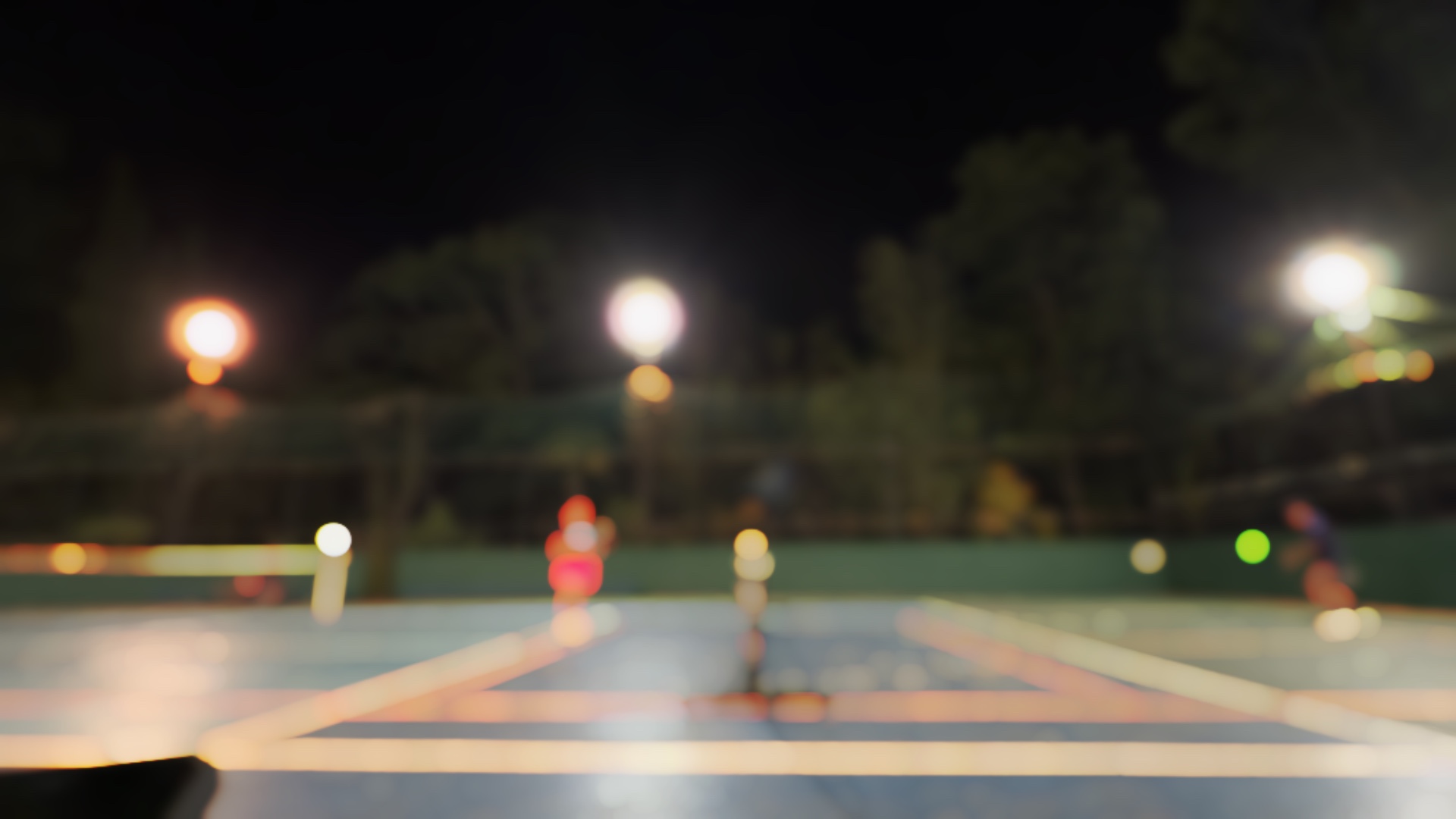 Pickleball Night