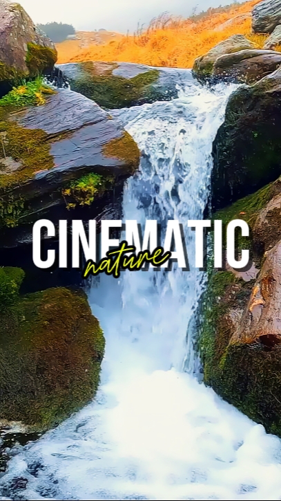 CINEMATIC NATURE