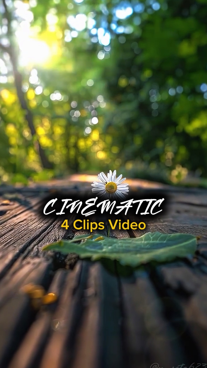 4 na Clip na Video 