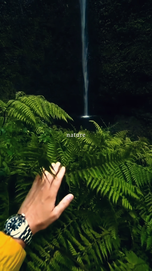 nature
