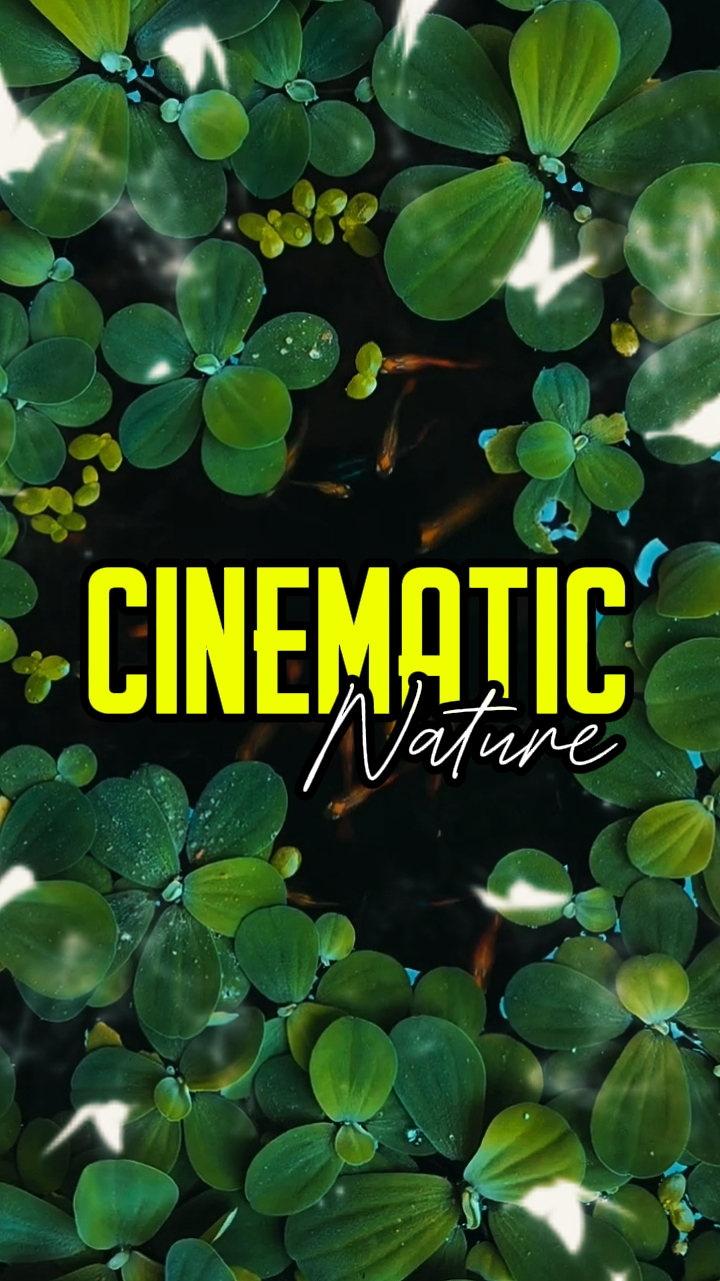CINEMATIC