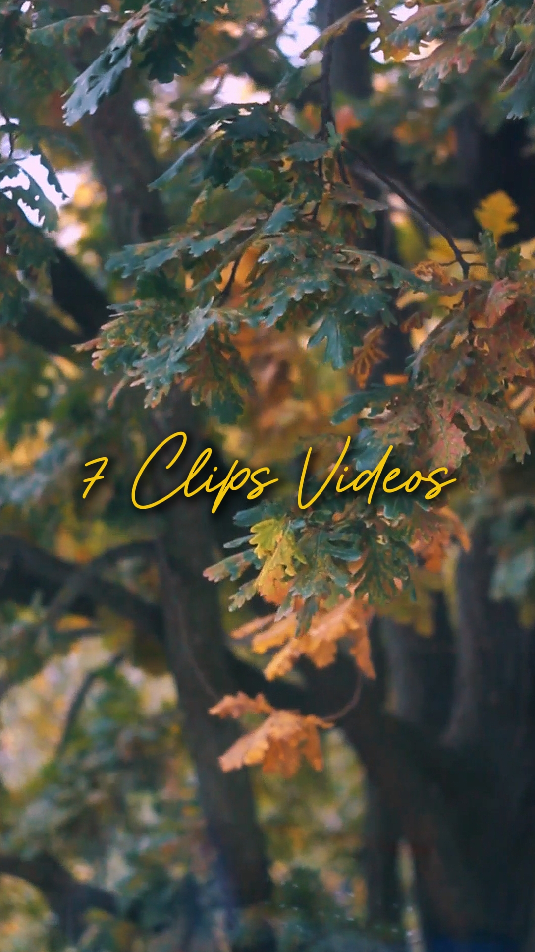 Cinematic 7 Videos