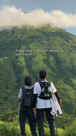 coba tanem pohon