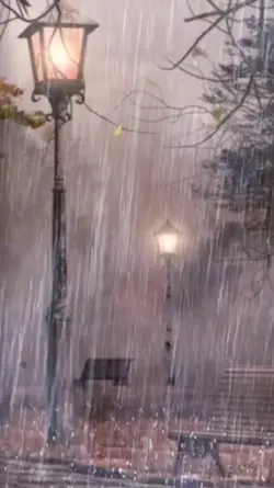 Rain