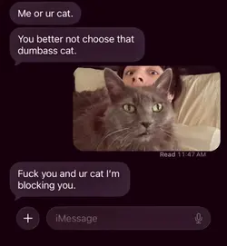 me or your cat