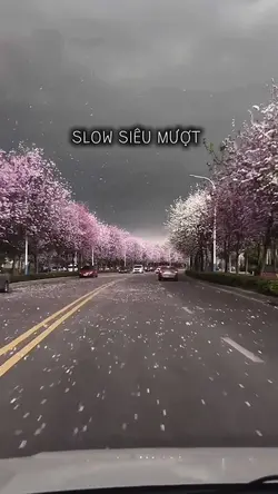 Habibi slow mượt 