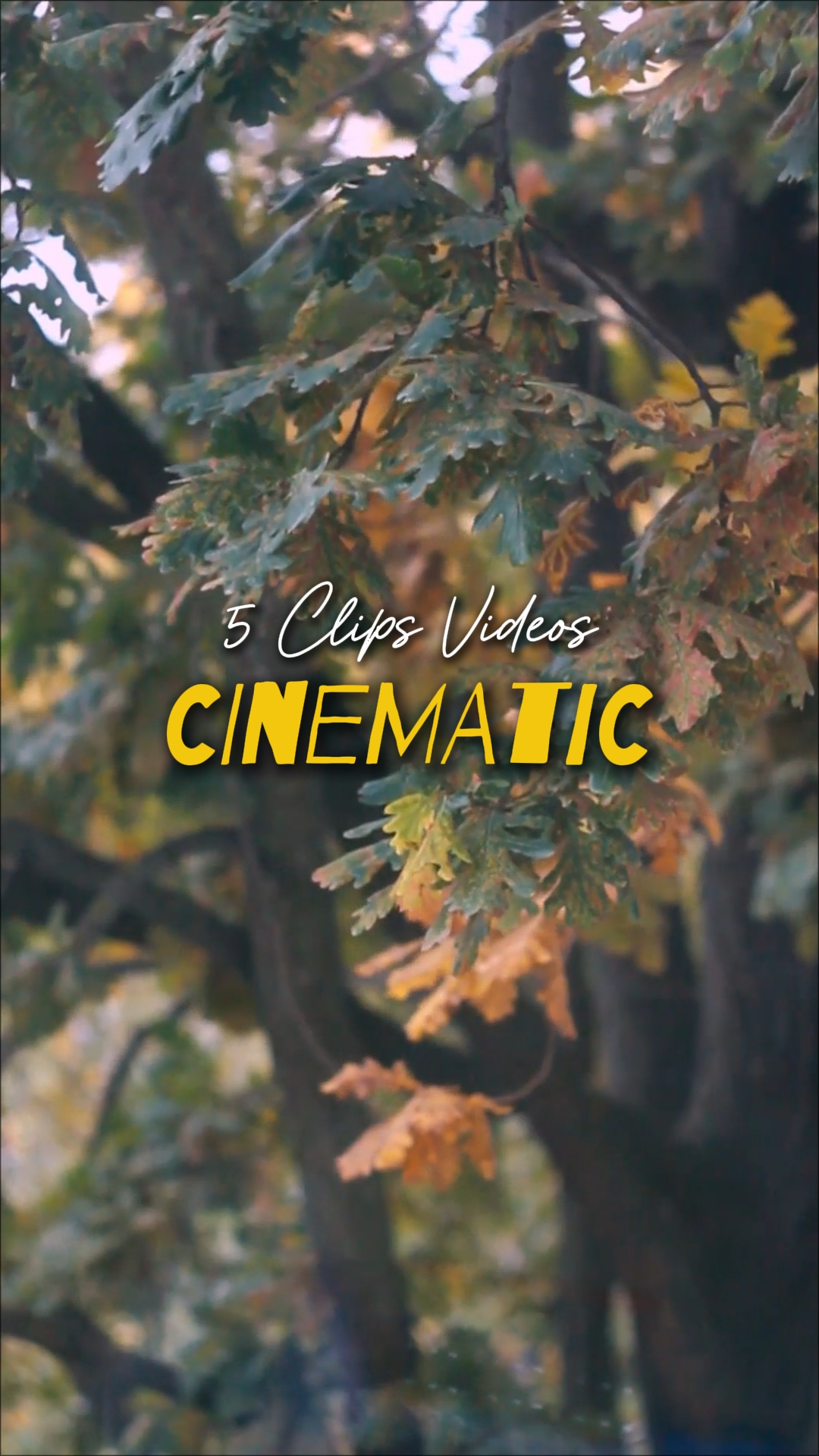 Cinematic 5 Videos