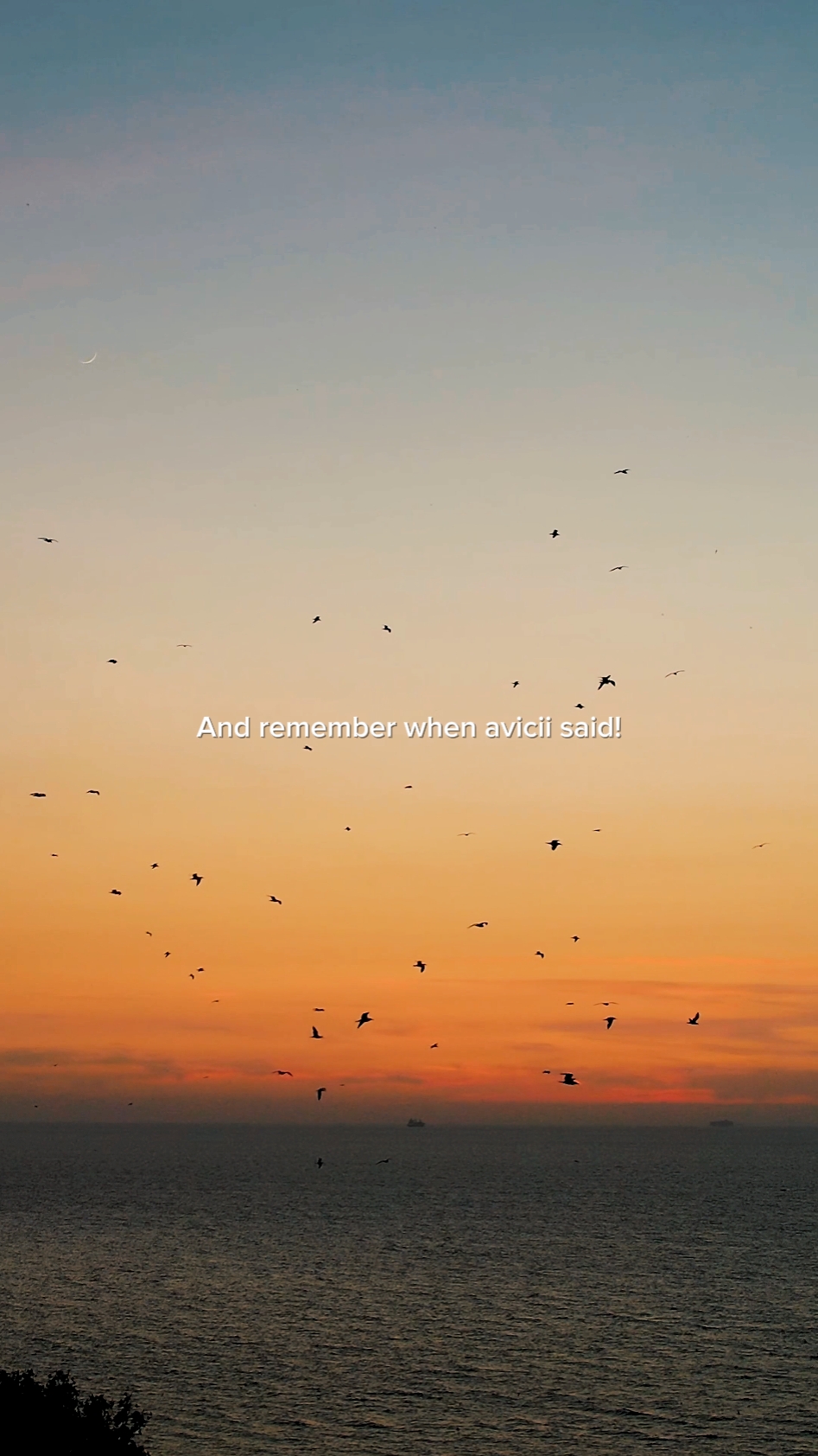 Avicii Said! 