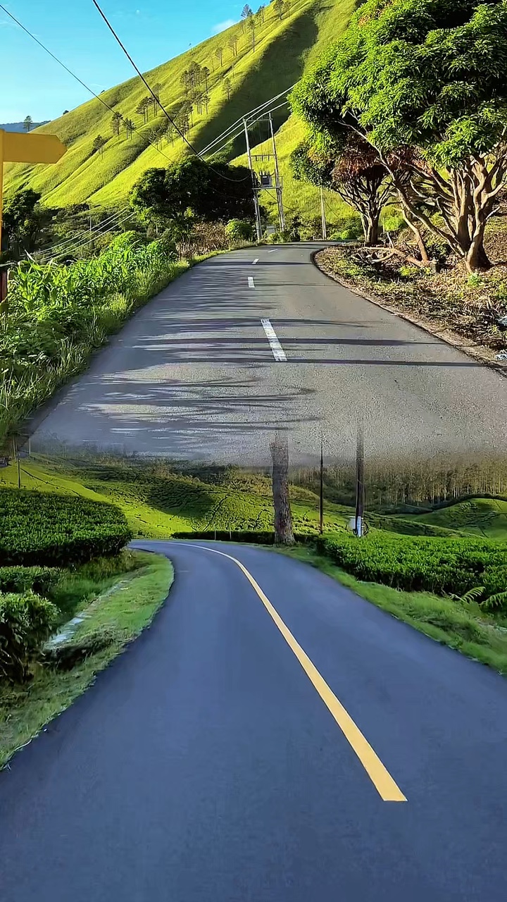 collage road trip