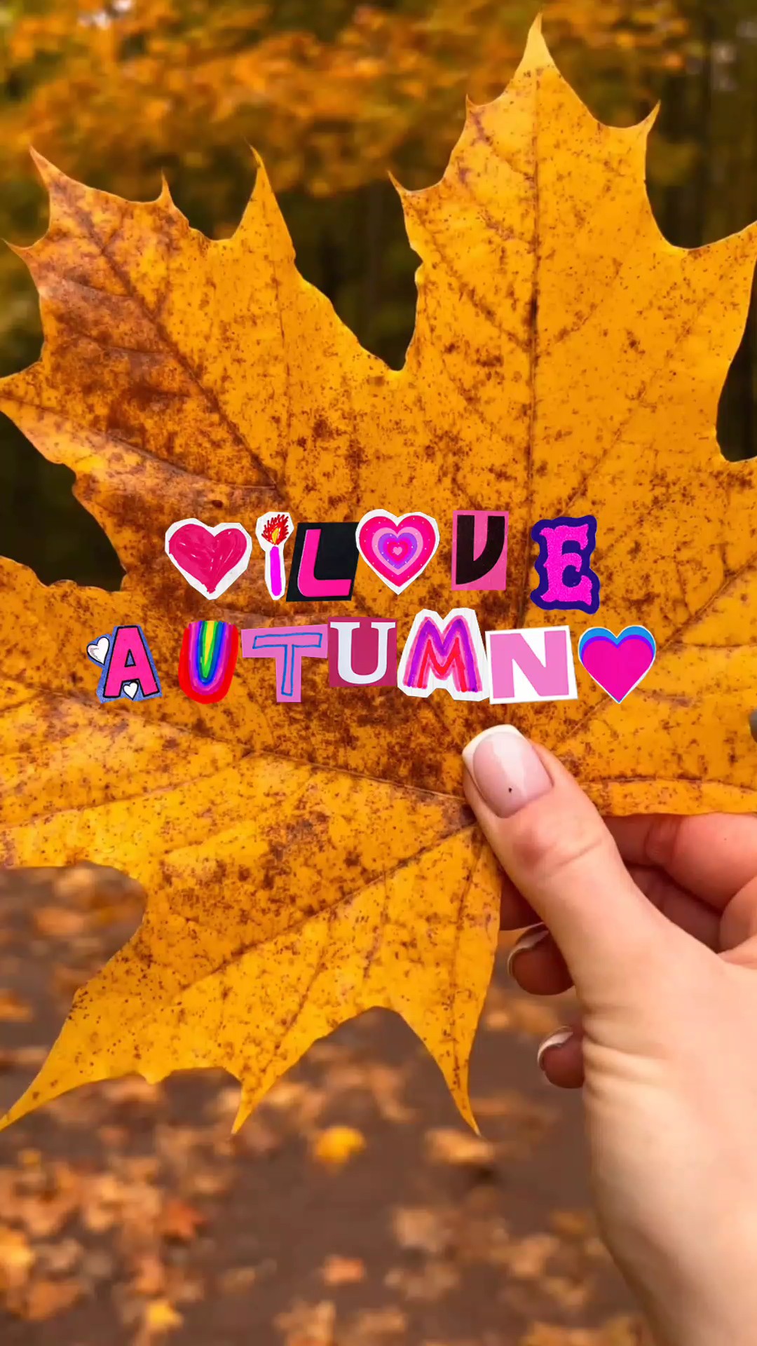 I love Autumn
