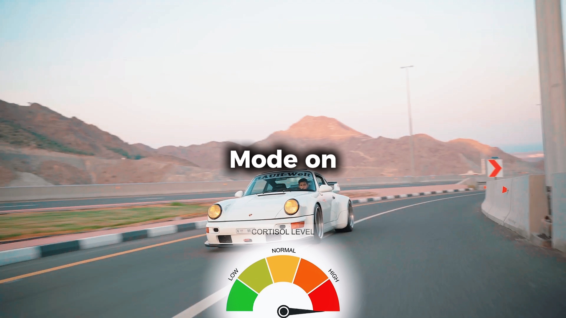 CORTISOL LEVEL TREND
