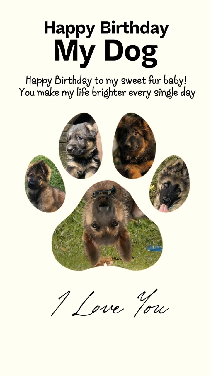 Happy birthday dog