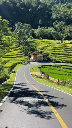 lagu termahal