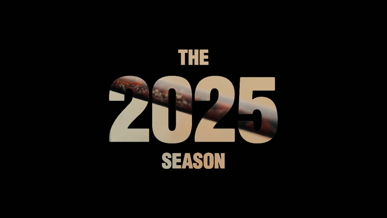 2025 요약