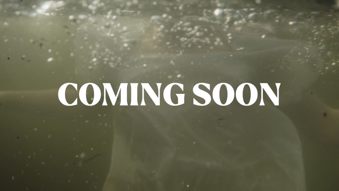 Trailer movie