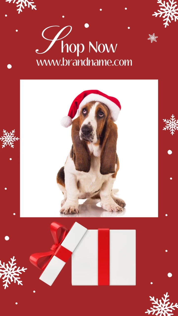 C2B Weihnachten Haustier Kleidung rot tiktok