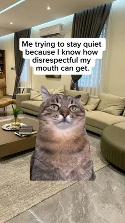 Stay quiet 