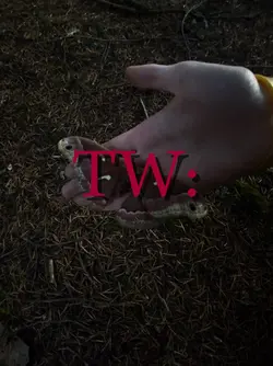 TW!!