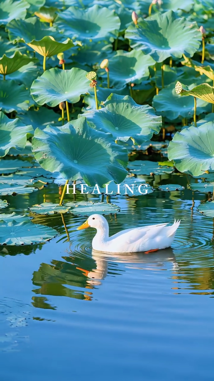 Healing