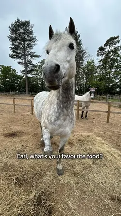 Whatโs ur fav food..